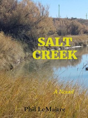 cover image of SALT CREEK